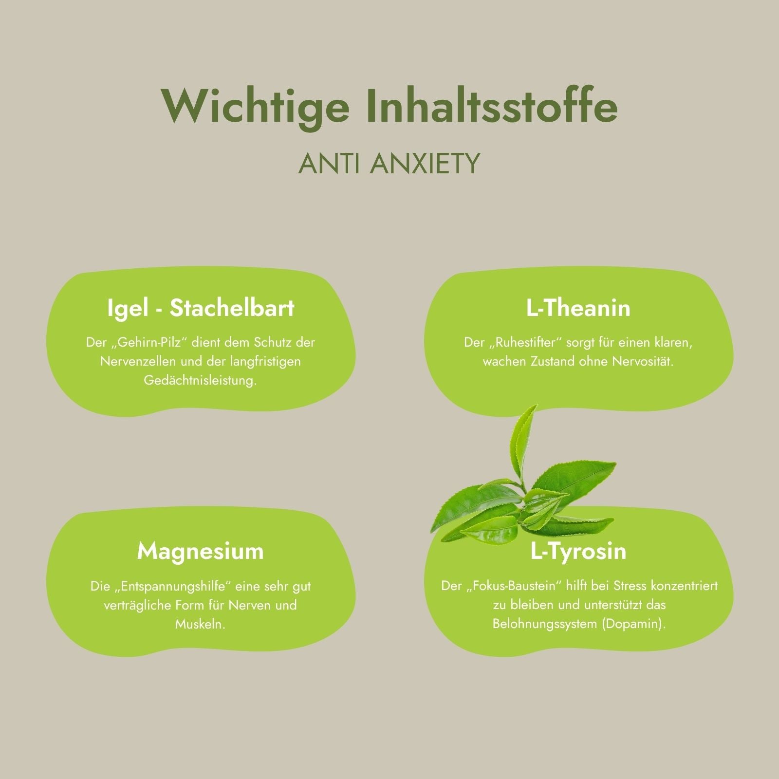 Daily Essential Set 3er Pack Vorteilspreis