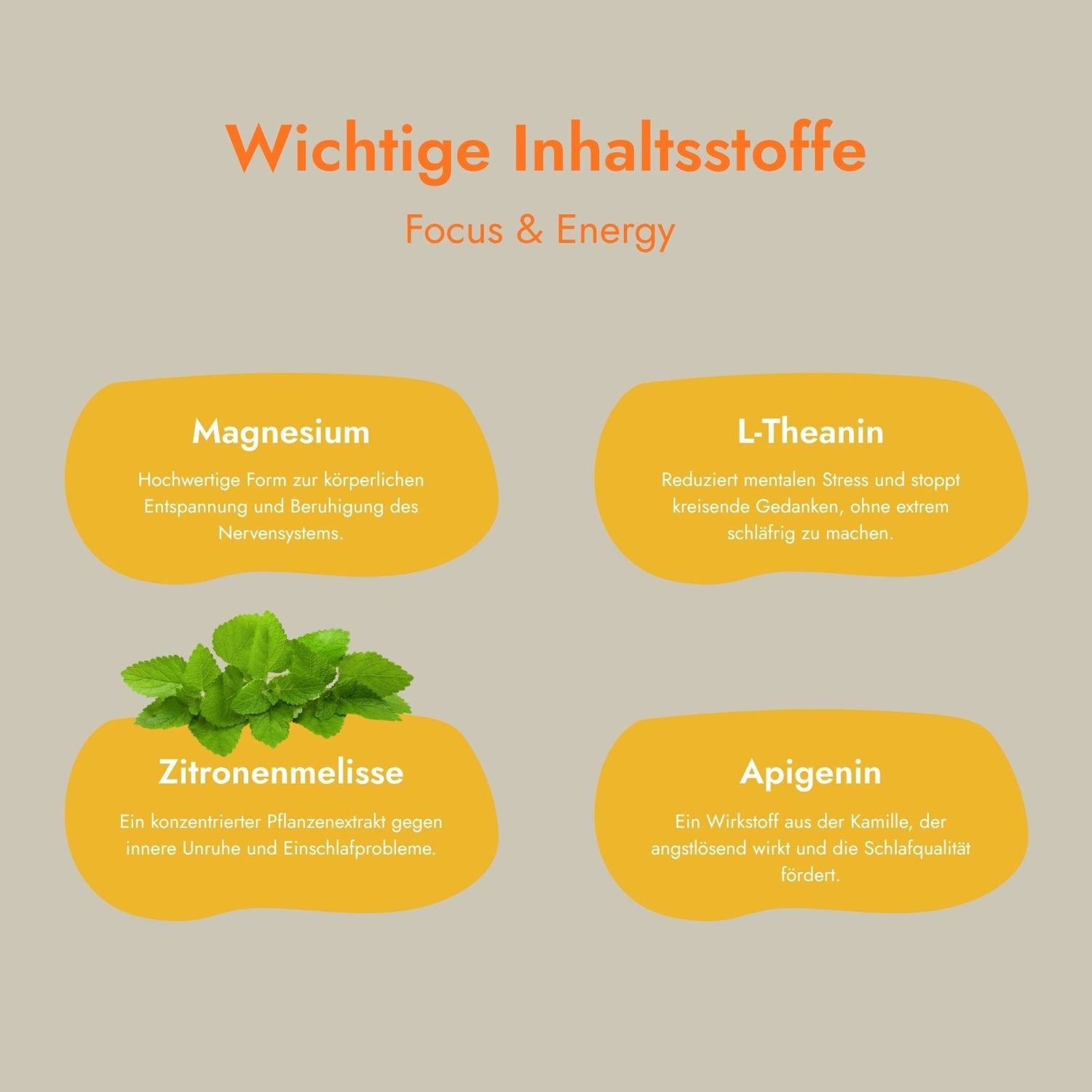 Daily Essential Set 3er Pack Vorteilspreis